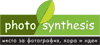photosynthesis