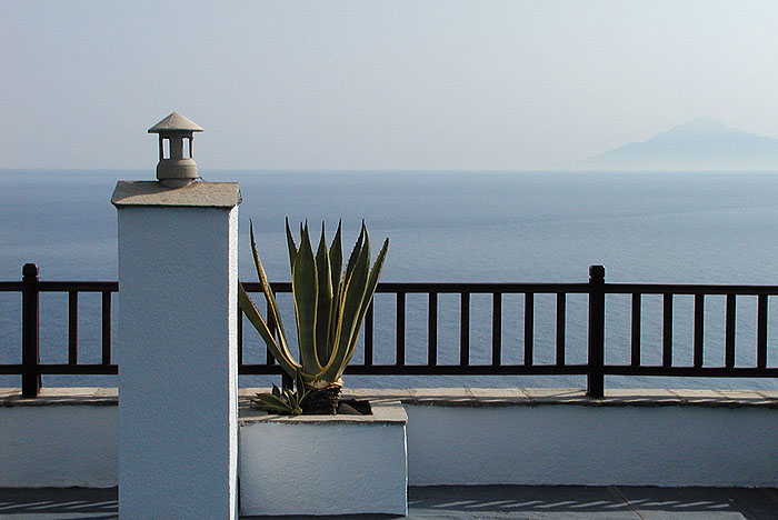 ������: ������ ��������