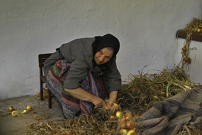 ������: ������ ��������