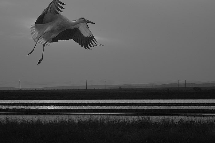 ������: ������ ��������