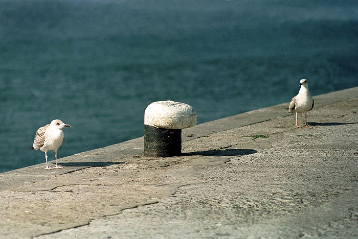 ������: ������ ��������