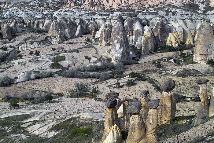 ������: ������ ��������