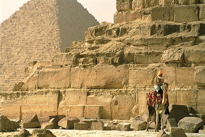 ������: ������ ��������