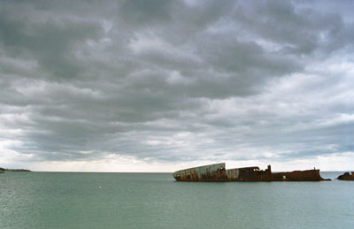 Снимка: Георги Величков