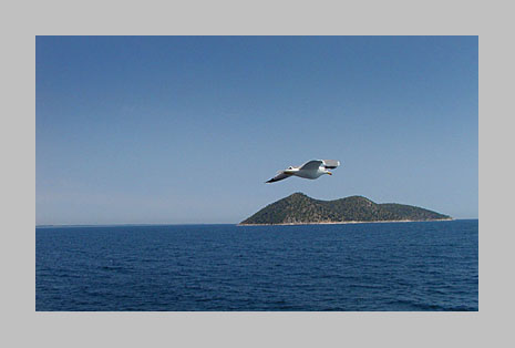 Снимка: Георги Величков