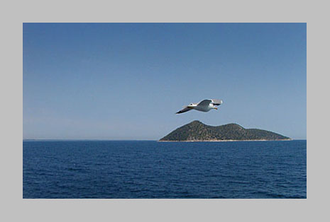 Снимка: Георги Величков