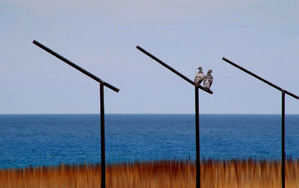 Снимка: Георги Величков