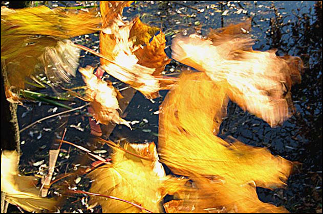 Снимка: Бони Бонев