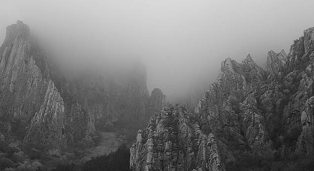 Снимка: Георги Величков